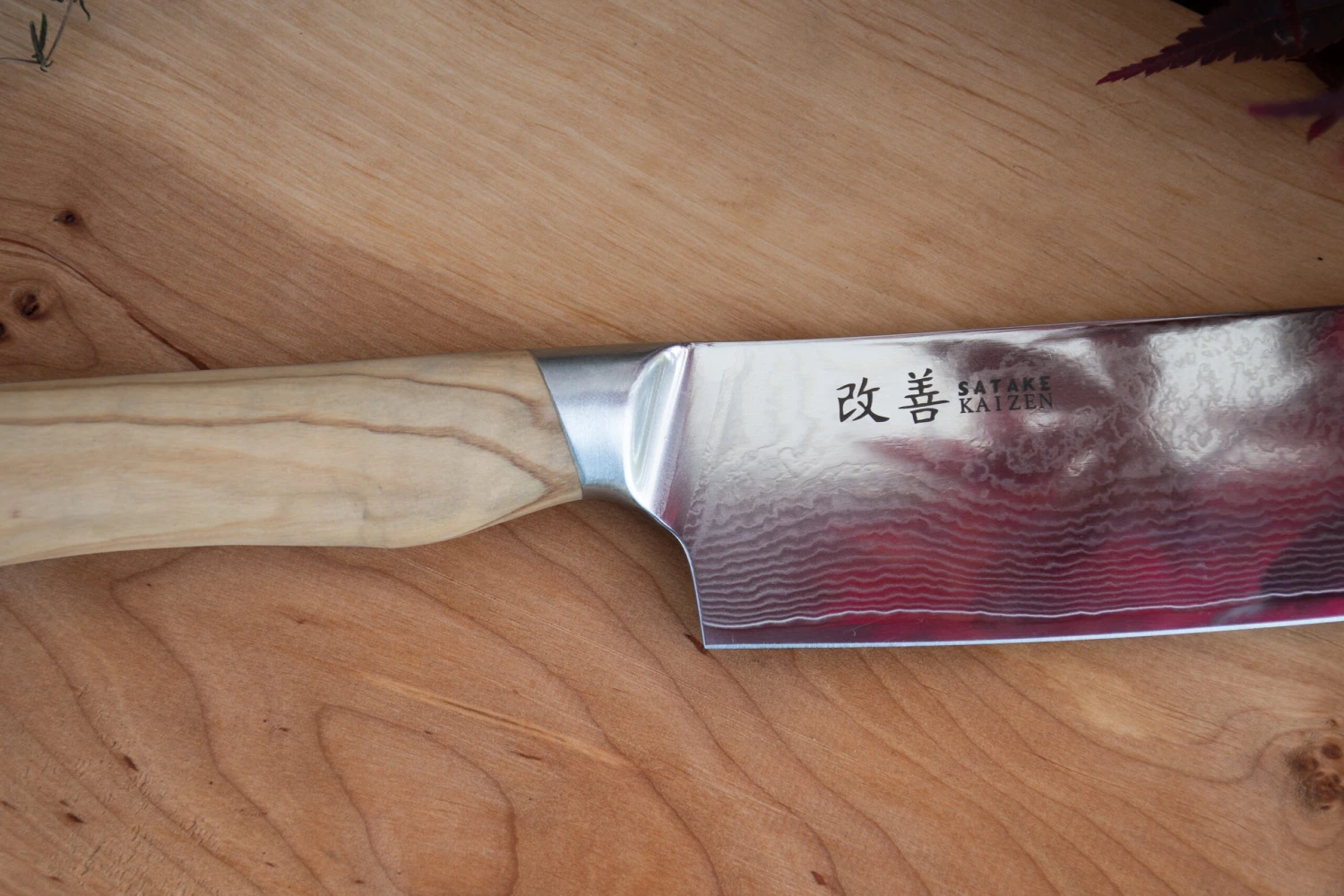 Satake Kaizen Gyuto Koksmes 3 Satake Kaizen Gyuto Koksmes - Afbeelding 3