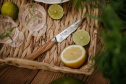 Satake Kaizen Petty Schilmes -Trendy Huishouden 572366 01 8 EnvironmentImage 6c2ad8496e