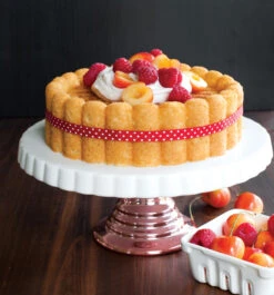 Nordic Ware Charlotte Bakvorm -Trendy Huishouden 573281 01 41 EnvironmentImage 2db9a8cc8e