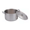 Inox Braadpan Roestvrij Met Deksel